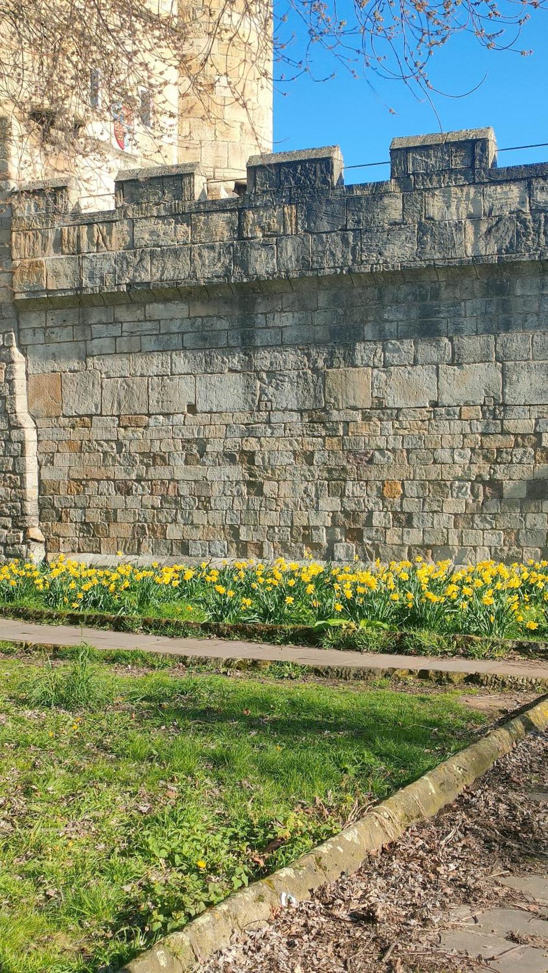 Victorian Farrar Cottage ヨーク エクステリア 写真